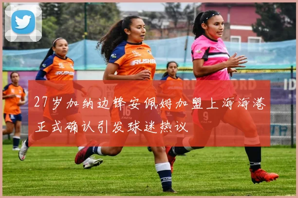 27岁加纳边锋安佩姆加盟上海海港正式确认引发球迷热议